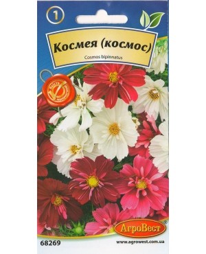 Космея