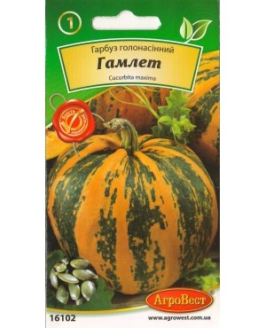 Гарбуз Гамлет (голонасінний)