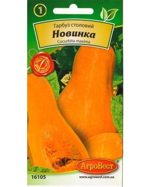 Гарбуз Новинка