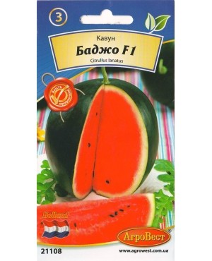 Кавун Баджо F1