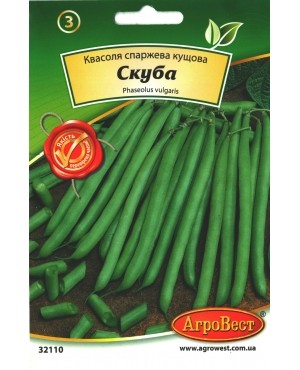 Квасоля спаржева кущова Скуба