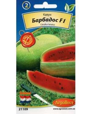 Кавун Барбадос F1