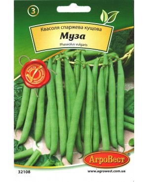 Квасоля спаржева кущова Муза