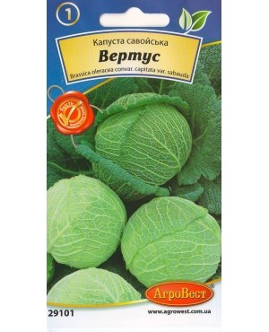 Капуста савойська Вертус
