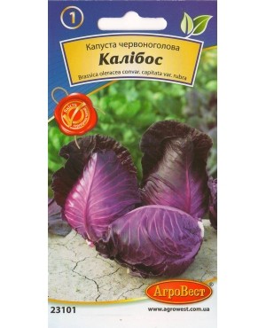 Капуста червоноголова Калібос