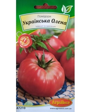 Помідори Українська Олена