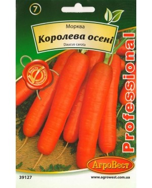 Морква Королева осені