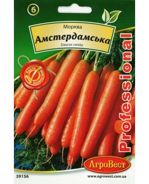 Морква Амстердамська