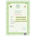 Бонсай 