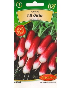 Редиска 18 днів