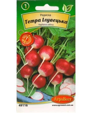 Редиска Тетра Ілувецька