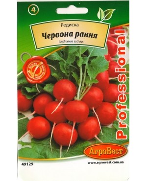 Редиска Червона рання