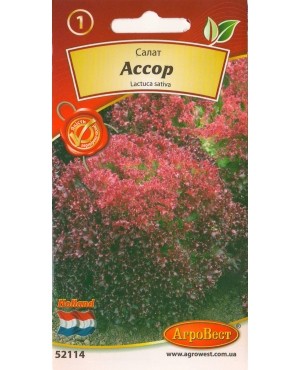 Салат Ассор