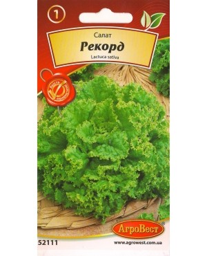 Салат Рекорд