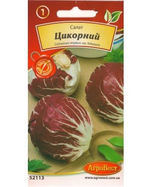 Салат Цикорний
