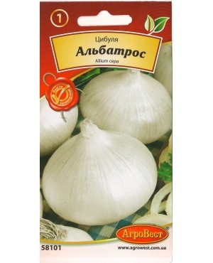 Цибуля Альбатрос