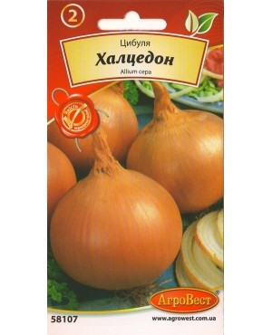 Цибуля Халцедон