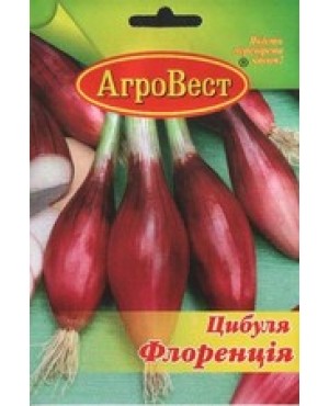 Цибуля червоноголова Флоренція