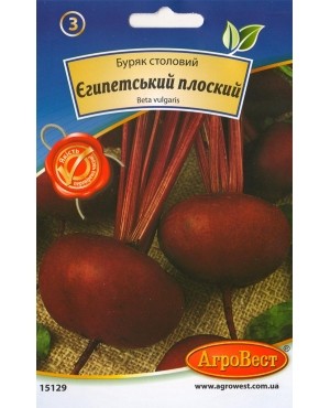 Буряк столовий Єгипетський плоский