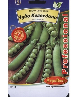 Горох цукровий Чудо Келведона