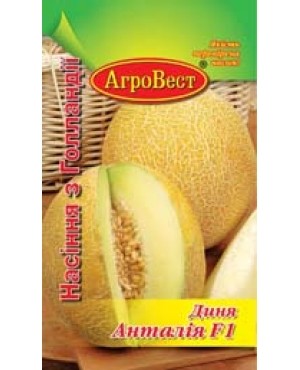 Диня Анталія F1