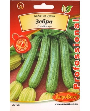 Кабачок Зебра