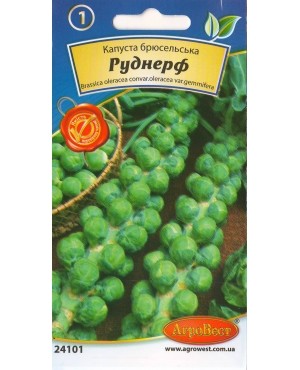 Капуста брюсельська Руднерф