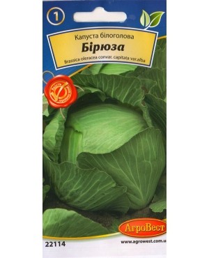 Капуста Бірюза