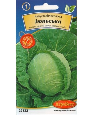 Капуста Іюньська