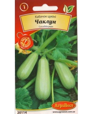 Кабачок Чаклун (кущовий)