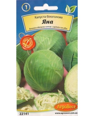 Капуста Яна