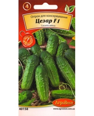 Огірок Цезар F1