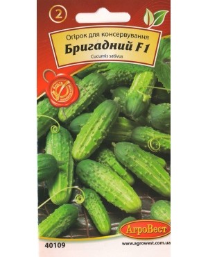 Огірок Бригадний F1 