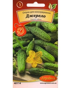 Огірок Джерело