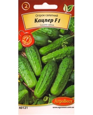 Огірок Кацпер F1 (партенокарпік)