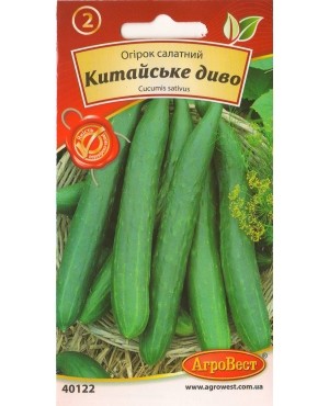 Огірок Китайське диво