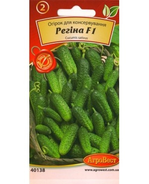 Огірок Регіна F1