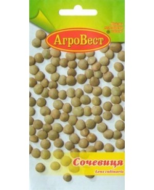 Сочевиця