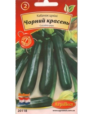 Кабачок Чорний красень (кущовий)