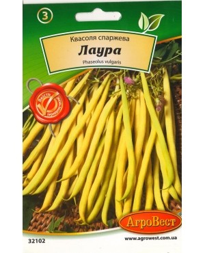 Квасоля спаржева Лаура