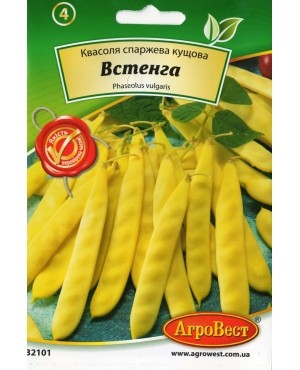 Квасоля спаржева кущова Встенга