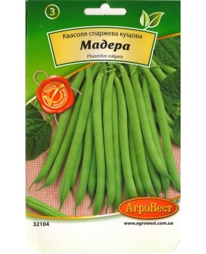 Квасоля спаржева кущова Мадера