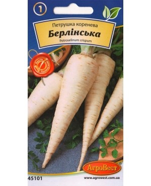 Петрушка коренева Берлінська