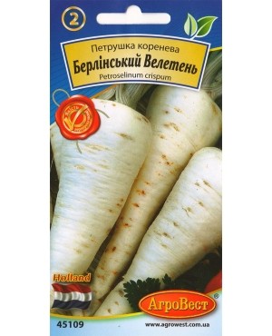 Петрушка коренева Берлінський Велетень