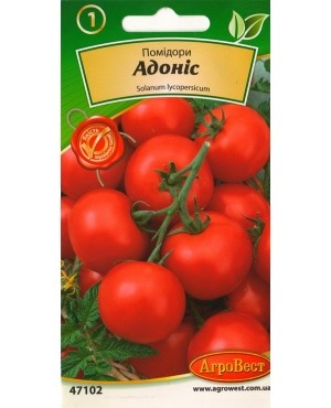 Помідори Адоніс