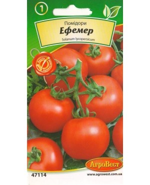 Помідори Ефемер