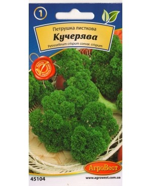 Петрушка листова Кучерява