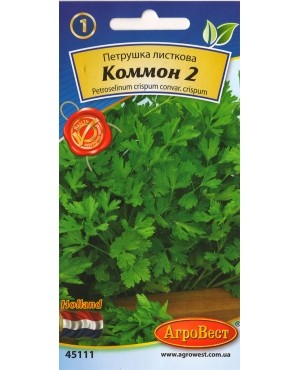 Петрушка листова Коммон 2