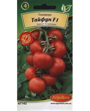 Помідори Тайфун F1