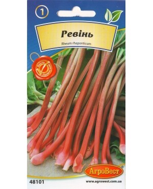 Ревінь